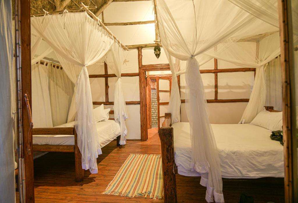 Kazinga Wilderness Safari Camp Hotell Kasese Exteriör bild