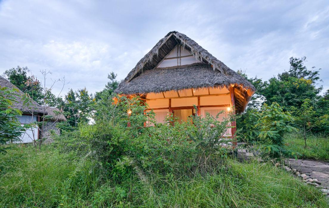Kazinga Wilderness Safari Camp Hotell Kasese Exteriör bild
