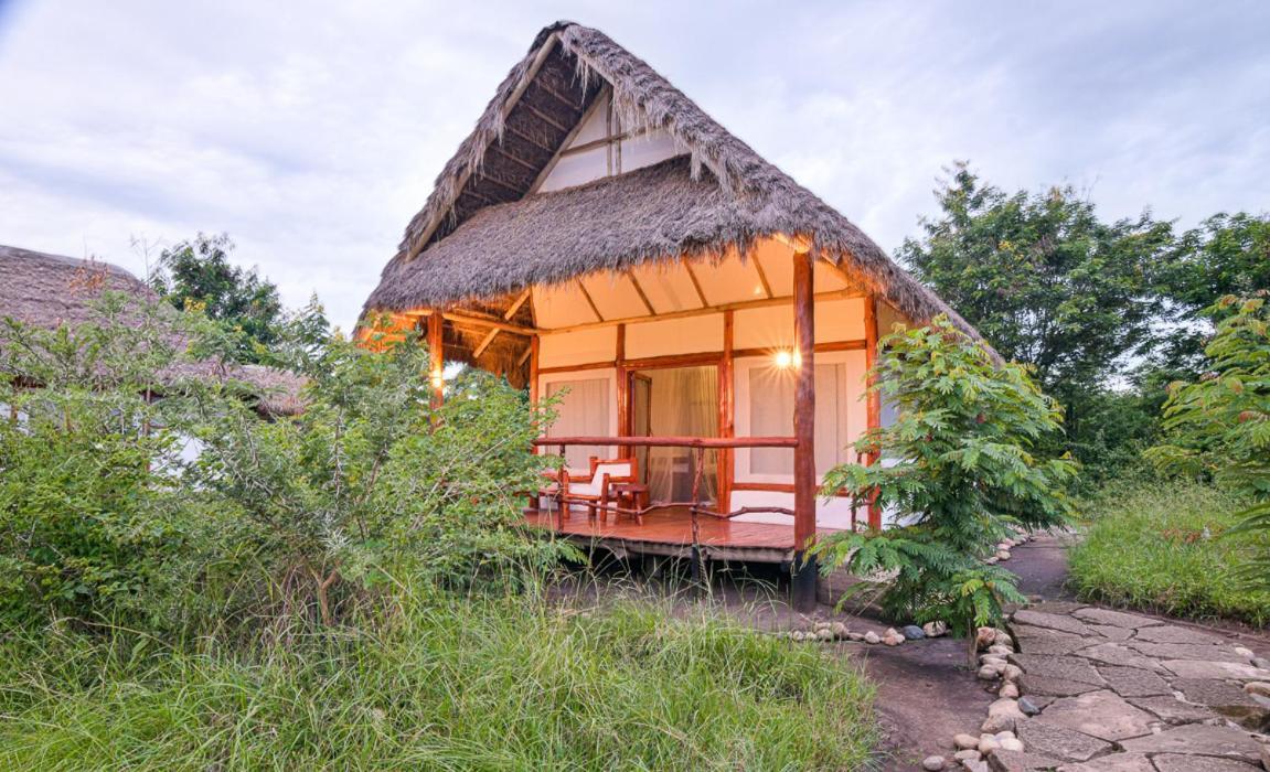 Kazinga Wilderness Safari Camp Hotell Kasese Exteriör bild